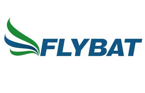 Flybat <br> BVD GmbH