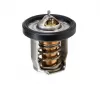 Thermostat (50C) Pin Suzuki 4-6PS 4Takt Motorteile Zylinderkopf Ersatzteile (passend auch bei Johnson) altern. 17670-91J00-000 passend bei DF4 DF5 DF6 BJ 2002-2004 teilw. 2005 ab 2016
