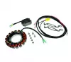 10PS 15PS 20PS EFI Mercury Batterieladesatz Ladespule inkl. Gleichrichter-Regler für Mercury, Mariner für F15 F10 F20 Charging KitBatt Ladekits ab Seriennr.: 0R833820 per Werksvertrag