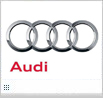 Audi A6 Allroad 5-T Kombi 2006-2011 2012-2018 ab2019 mit erhöhter Dachreling