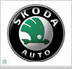 Skoda Enyaq SUV 5-Türer ab2021 Integrierte Dachreling